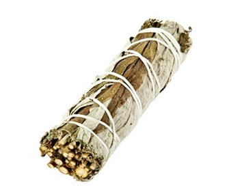 Black Sage (Mugwort) Herb Stick